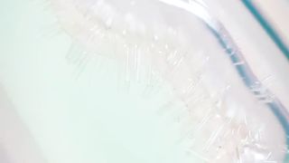 How A Jellyfish Actually Stings you