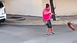Hahahah so funny dog