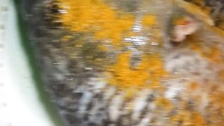 مسلا لگانے کا طریقع