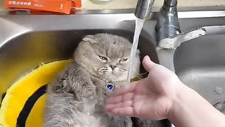 Lagi Mager Malah Disuruh Mandi ⁉️Aku Pasrah