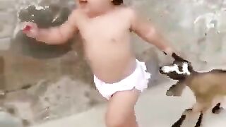 baby stole a baby goat