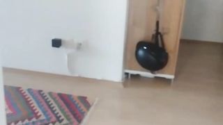 cats vsadfsfdsf