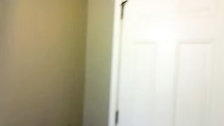 Angry cat vs nice cat and worried dog.