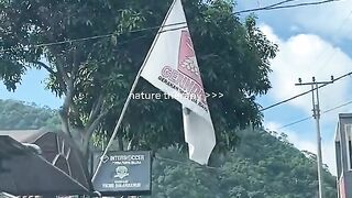 Pemandangan