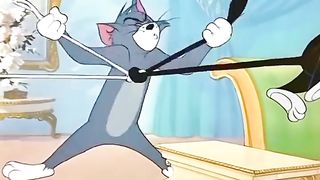 #must watch funny videos