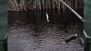 fishing