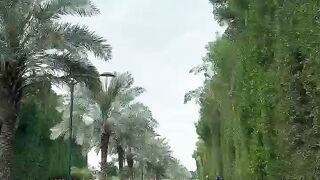 Dubai road #scene