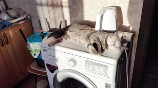 новый вид релакса