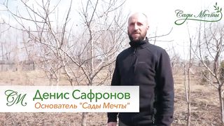 Принципы обрезки плодовых деревьев. Что срезать и почему