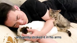 Can you hug me too‘’when watched owner hug the companion,the rescued stray cat