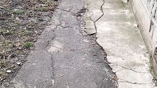 мой гуляка.