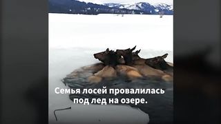 На Замерзшем Озере Случилась Беда. Местные Жители Бросились на Помощь