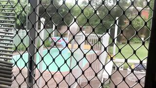 Неожиданный гость.Впервые подлетел так близко.Непуганые они здесь.