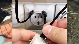 video lucu