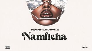 HARMONIZE