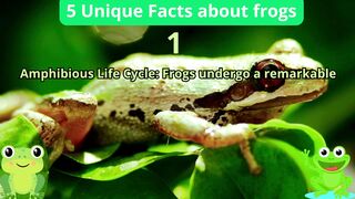 5 Unique Facts about frogs