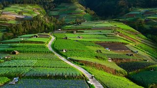 Npemandangan yang nyegerin mata dan juga hati