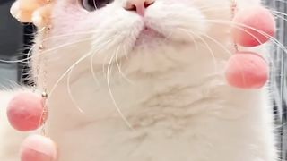 oh comelnya aku. cantik ngak