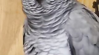 чо орать, козел_!