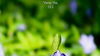 Razzaq5 --Beautiful video -Quran urdu translation whatsapp status @shorts @quranurdutranslation. plz subscribe and watch my video