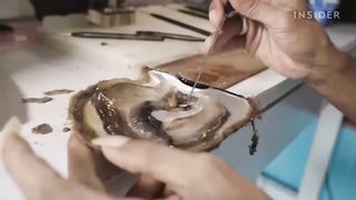Как получают жемчуг Южных морей _ Как это делается.