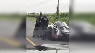 Приколы 2023 лучшие до слез тест на психику смешные видео попробуй не засмеяться.