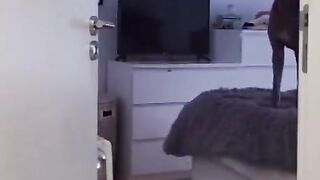 Funny Video