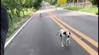 Funny