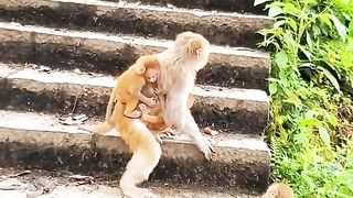 don't like being put first