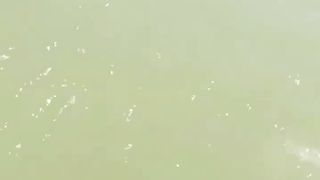 Jokes from tik tok