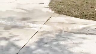 Jokes from tik tok
