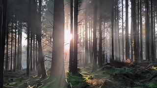 Wow nice beauty nature