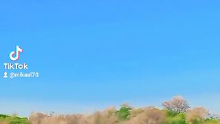 Beautiful view