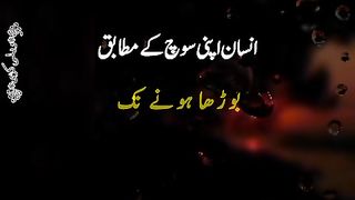 Insan ki soch