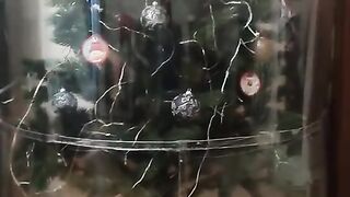 Reliable protection of the Christmas tree from the cat