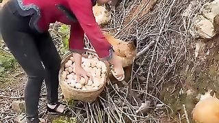 funny videos of Pja