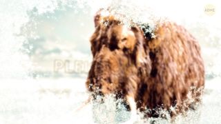 Мы движемся к новому ледниковому периоду.