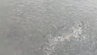 Kalau gak mau kotor dikolam tanah, budidaya lele bisa gunakan jaring