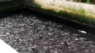 Saatnya CUAN❗Kita panen