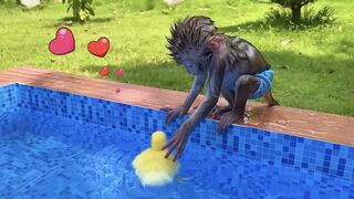 Monkey Baby Bon Bon and puppy open Surprise eggs contain So cute ducklings, koi fish, goldfish