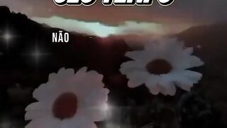Tudo tem seu tempo !