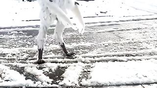 Kaqkaq