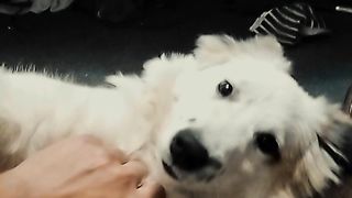 Deep Eyes