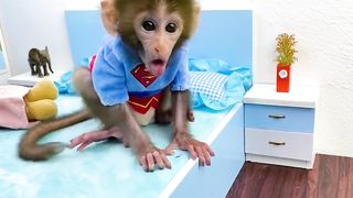 Baby monkey Bon Bon go to the toilet and playing with the puppy So cute