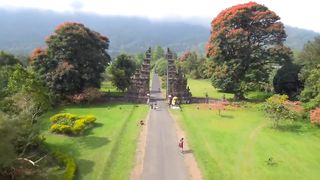 Bali 4K UHD video #travel #vlog #nature #beatiful