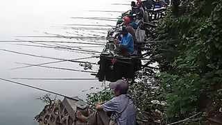 fishing fish 1