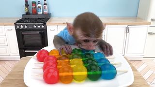 Monkey Baby Bon Bon Bon Cleans House And Goes Fishing With Ducklings
