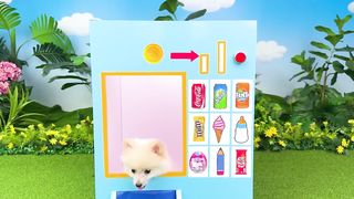 Monkey baby Bon Bon uses the vending machine and eats so yummy ice cream with puppy