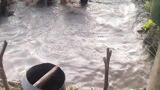 Tangkap ikan