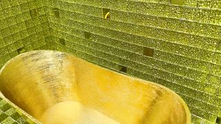 Febspot Monkey Baby Bon Bon bath in the toilet and Eats Ice Cream Gold with puppy at the pool